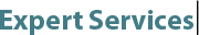 Expert Services